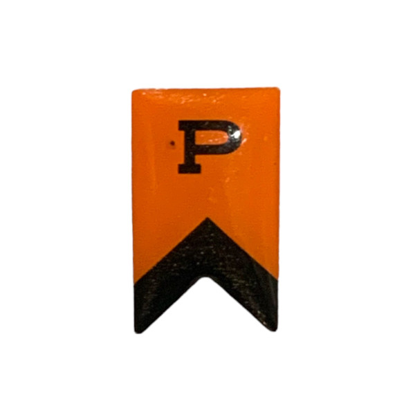 Princeton With One Accord Campaign Ribbon Pin