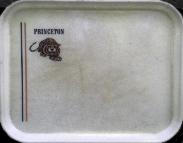 Princeton-logo Sled